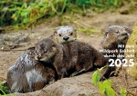 Wildpark Eekholt-Kalender 2025 - rabattierten Kalender mit dem gleichzeitigen Kauf einer Jahreskarte 2025.